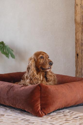 Actual product image Designed by Lotte Ribbed divan bed (Dog)