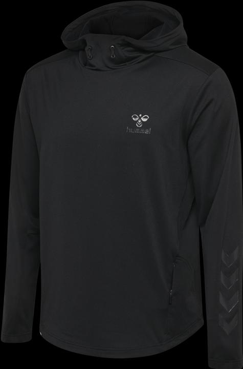 Actual product image hummel Aston Hoodie (XXL)