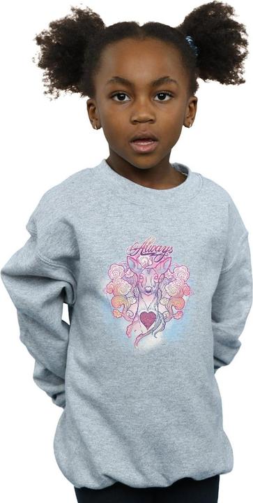 Image du produit - Sweat ALWAYS DOE - Fille (116)