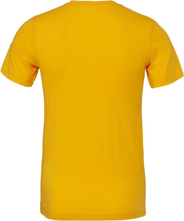 Actual product image Bella Canvas Adult round neck T-shirt (XS)