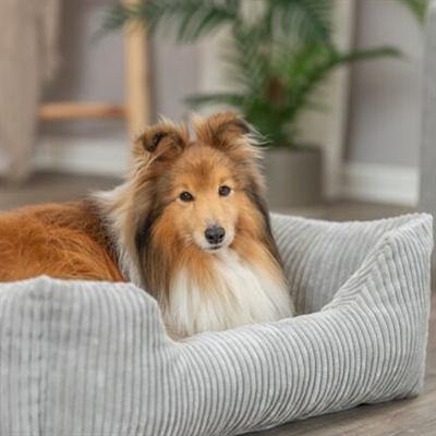 Produktbild Trixie Hondenmand Vital Jonna Ribfluweel Grijs - 80X60 Cm (Hund)