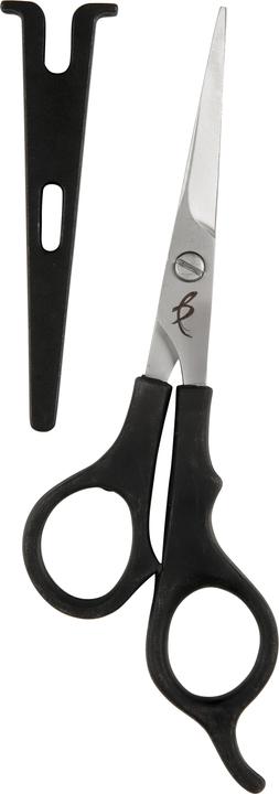 BaByliss Forbici da parrucchiere (16 cm)