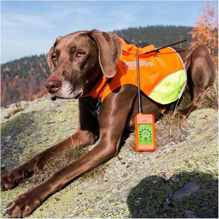 Immagine prodotto Dogtrace Localizzatore per cani GPS X20 (Taglia unica, Cane)