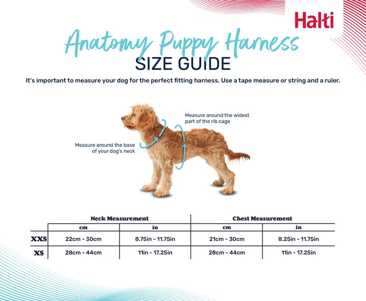 Immagine prodotto Company of Animals Pettorina per cuccioli Halti Anatomy XXS (XXS, Cane)
