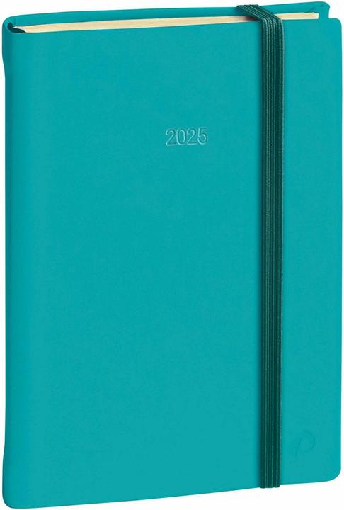 Agenda Daily 17 Pr. Silk 2025 376023Q 1T/1S türkis ML 12x17cm (12 x 17 cm, Englisch, Niederländisch)