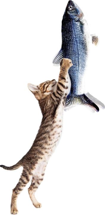 Actual product image MediaShop Flippity Fish (Catmint toy)