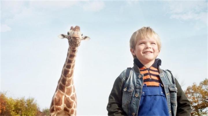 Immagine prodotto Plaion Il mio amico giraffa (DVD, 2017, Tedesco)