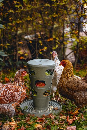 Actual product image Beeztees Feeding Station Chickens Feeding Tower, Grey
