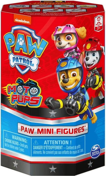 Actual product image Spin Master Paw Patrol minifigure