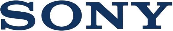 Immagine prodotto Sony ECM-W2BT