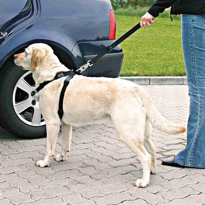 Actual product image Trixie Car harness (XS, Dog, General)