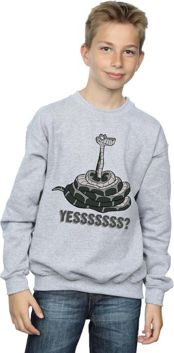 Produktbild Disney The Jungle Book Kaa Yesssss Sweatshirt Jungen (140, 146)