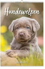 Dog puppies poster calendar 2025 (German)