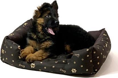 Immagine prodotto Go Gift GoGift cubo tana XL 75 x 55 x 15 cm marrone (Cane)