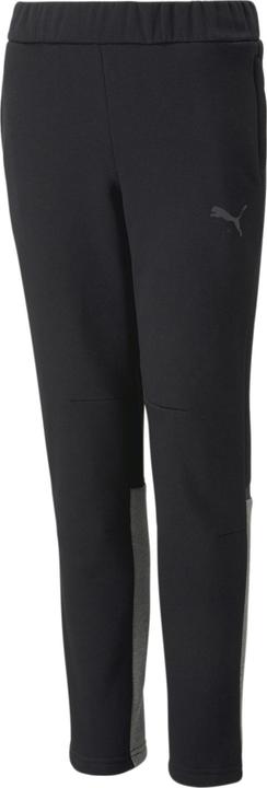 Actual product image Puma teamCUP Casuals Pants Jr (116)