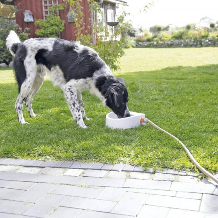 Produktbild Trixie Automatische Outdoor-Hundetränke (1.50 l)