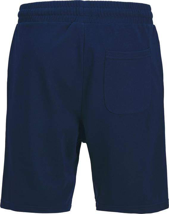 Actual product image Jack & Jones Jpstkane Vesterbro Sweat Shorts Lng Sn (L)