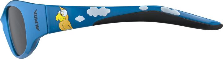 Immagine prodotto ALPINA SPORTS Flexxy