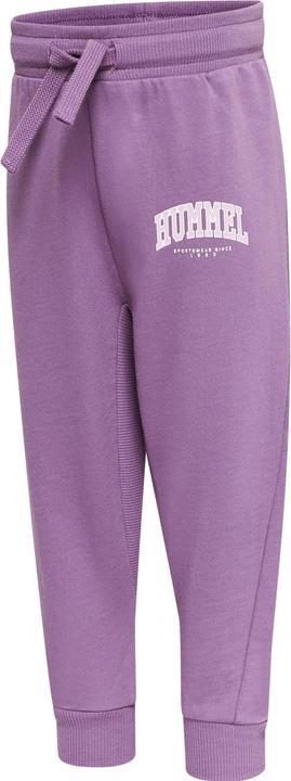 Argyle purple