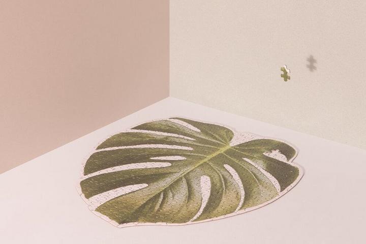 Image du produit Doiy Slow Puzzle Monstera (500 pièces)