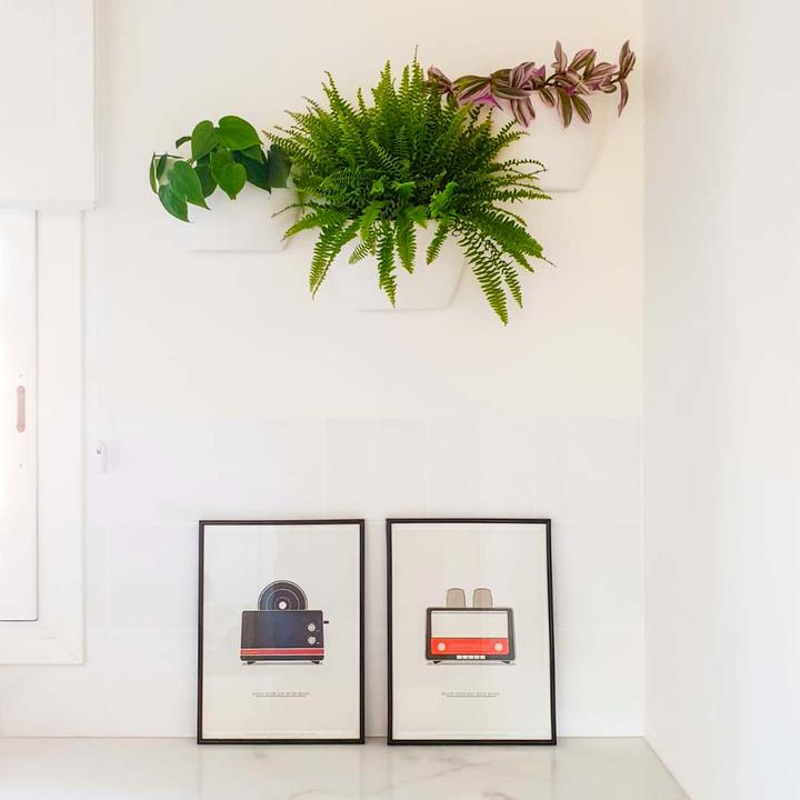 Image du produit CitySens 3 Pack Wall Planters  planteur blanc (9 cm)