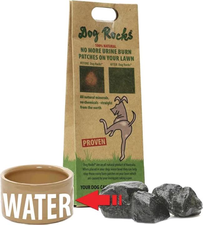 Productafbeelding Dog Rocks Parker (Hond)