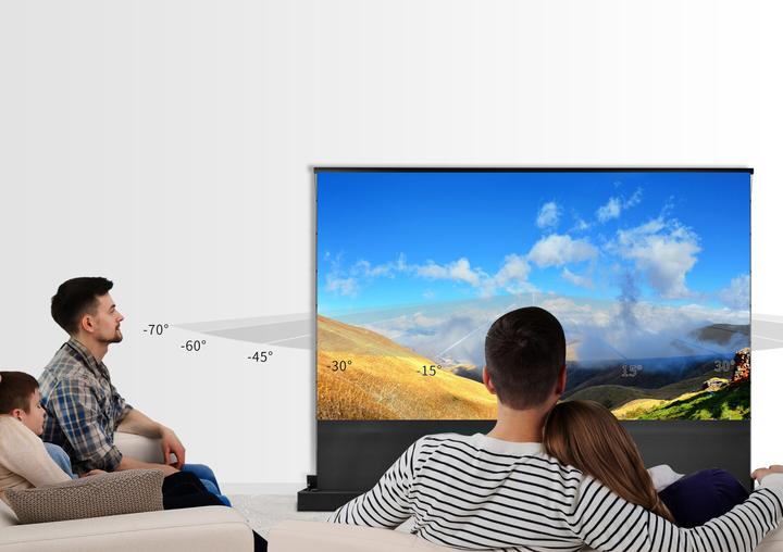 Actual product image Celexon UST High Contrast Floor Shears Screen - HomeCinema Plus, 100" black (100", 16:9)