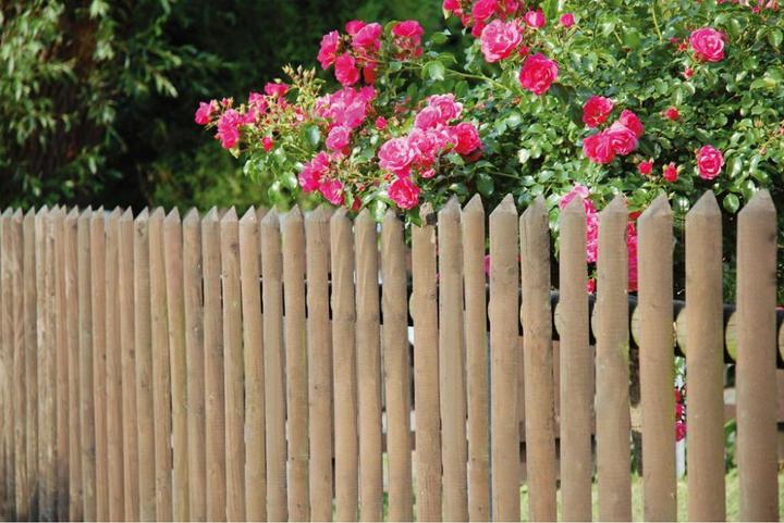 Neogard Vertical fence