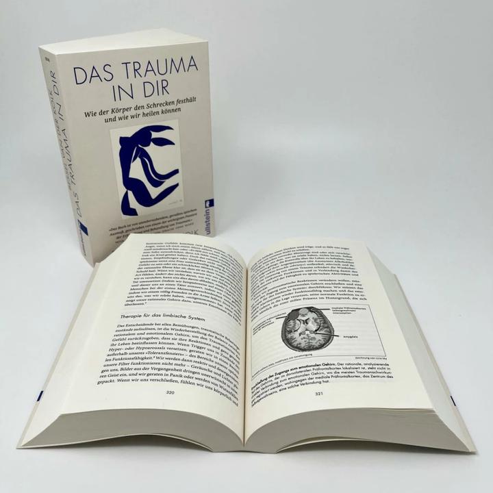 Immagine prodotto Das Trauma in dir (Tedesco, Bessel van der Kolk, Hildegard Höhr, Theo Kierdorf, 2023)