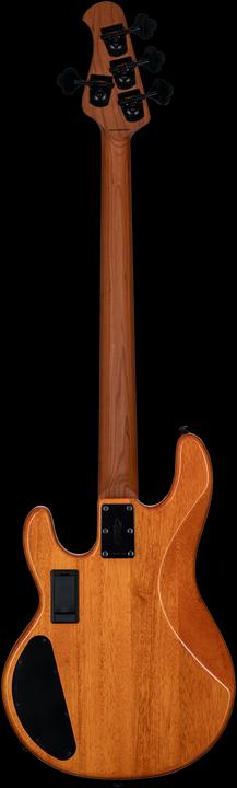 Immagine prodotto da Music Man StingRay Ray34 HH Poplar Burl Amber electric basgitaar met deluxe gigbag (Basso elettrico, Acero, Pioppo)