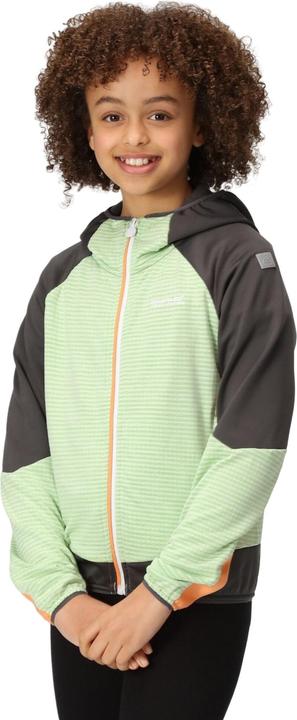 Produktbild Regatta Prenton II Softshelljacke mit Kapuze (104)