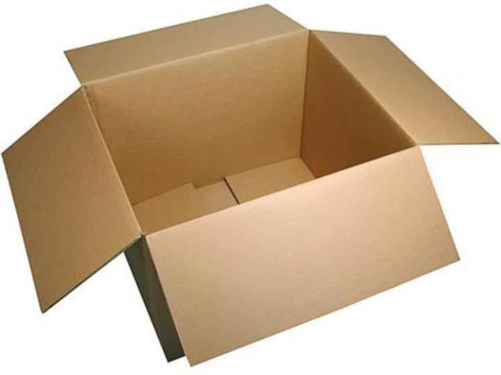 Produktbild Fourtwenty Kartonkiste für Stecklinge 55x33x22.5cm