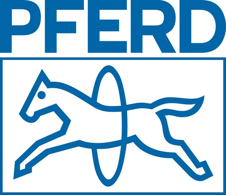 Actual product image Pferd Soft metal file (Stroke 0, 250 mm)