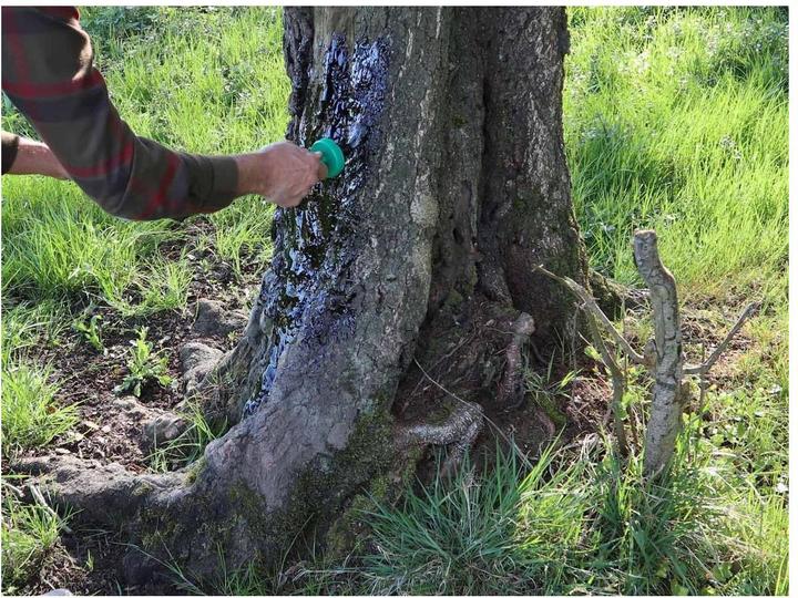 Immagine prodotto Eurohunt Catrame di faggio