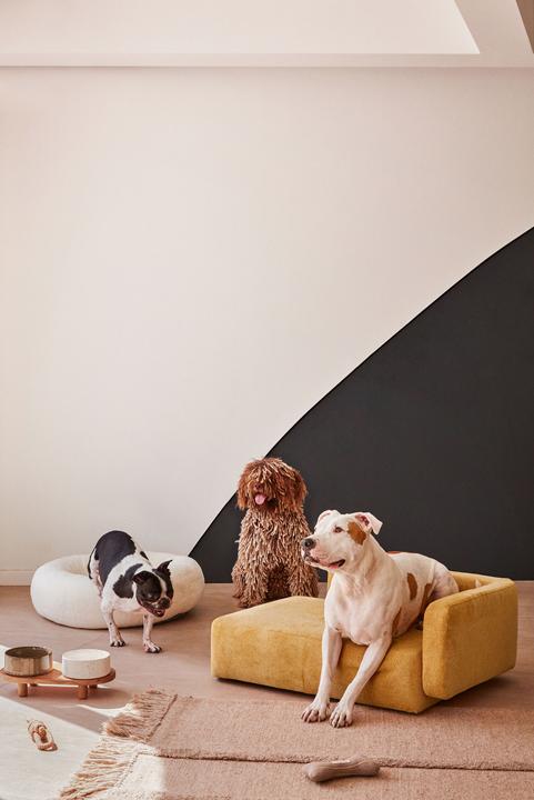 Produktbild Kave Home Bowie (Hund)