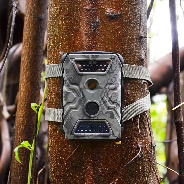 Produktbild Willfine 2.6C Wildkamera
