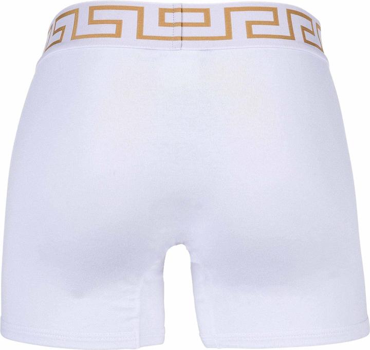 Actual product image Versace Bi-Pack Trunk Jersey Topeka Bi-Stretch Cotton Organic New Logo (L, pack of 2)
