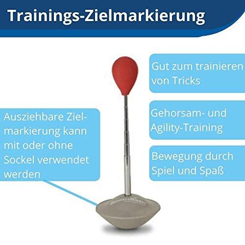 Actual product image PetSafe Treat and Train