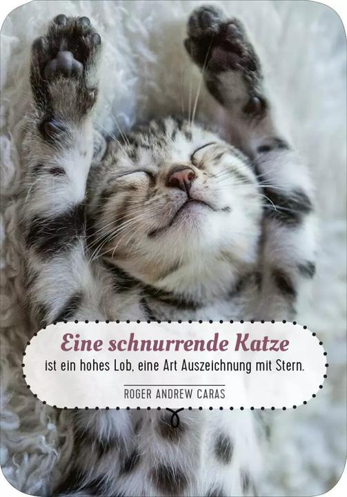 Immagine prodotto Kartenbox Katzenweisheiten (Tedesco, 2023)