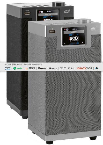 Image du produit Imperial Dabman i610 (Webradio, DAB+ DAB, VHF, FM, Bluetooth, WiFi)