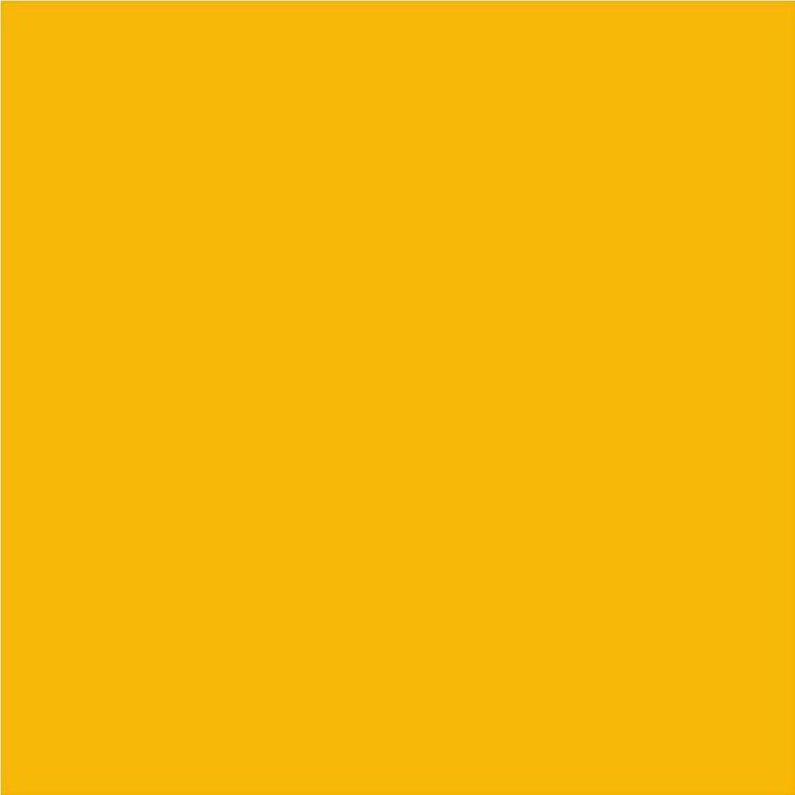 Image du produit Schjerning Encre pour linogravure (Jaune, 250 ml)