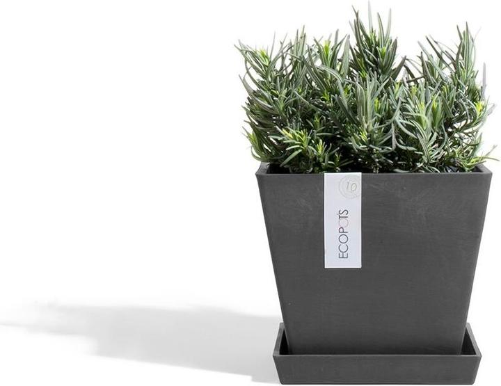 Immagine prodotto Ecopots Rotterdam (20 cm)