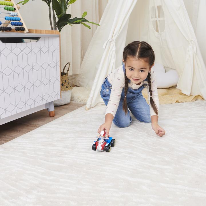 Actual product image Spin Master Paw Patrol Basic Vehicle Ryder