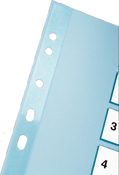 Produktbild Esselte Karton-Register Mylar, verschiedene Ausführungen, einzeln