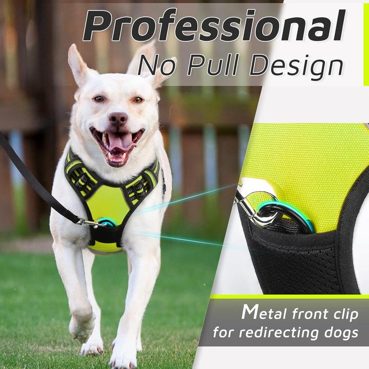 Actual product image Eagloo Dog harness (XL, Dog, General, Walks)