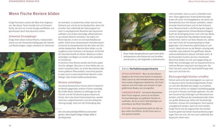 Produktbild Aquarien - Spass für Kinder (Aquarium Pflanzenpflege)