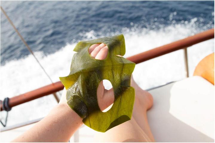Actual product image Starskin - ORGLAMIC Sea Kelp Detoxing Mask (1 ml)
