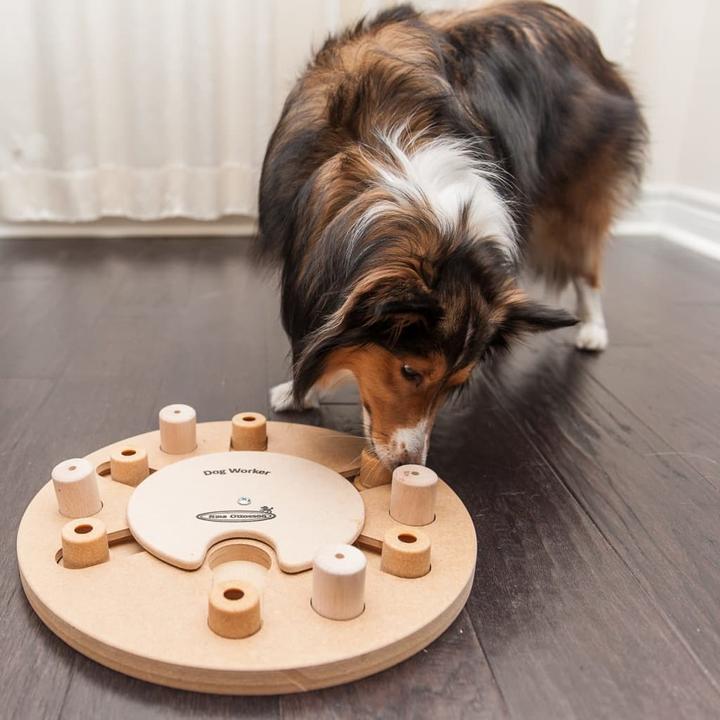 Produktbild Nina Ottosson Nina Ottoson Dog Worker Composite