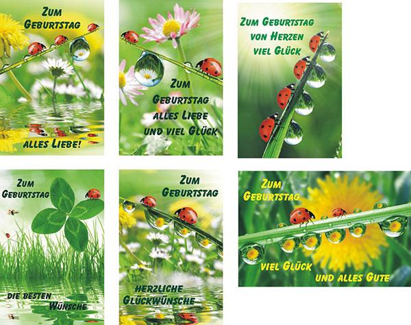 Produktbild Magni Glückwunschkarten 100er Geburtstag 6fach sortiert (100 Stk.)