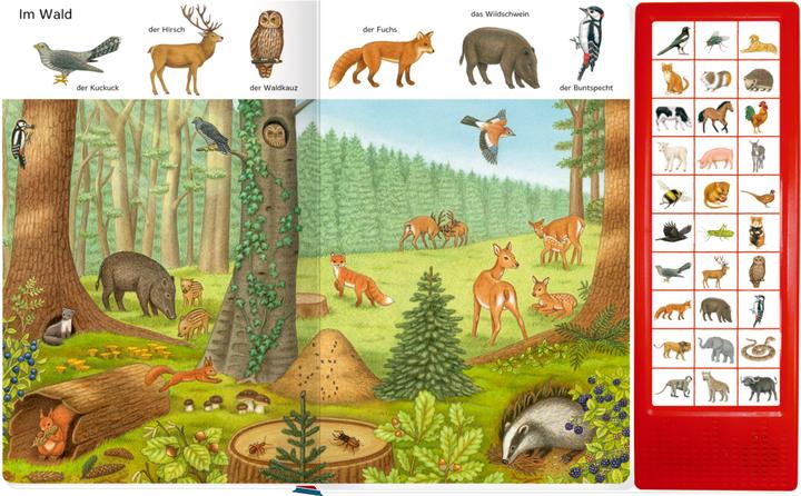 Produktbild So viele Tierstimmen (Deutsch, Sybille Brauer, 2020)